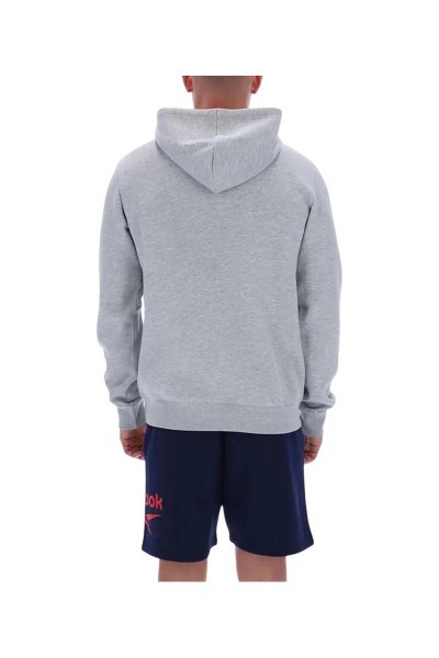 ���� TRENT 2 COL LOGO HOODY