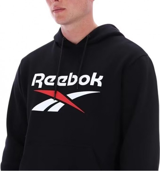 ���� TRENT 2 COL LOGO HOODY