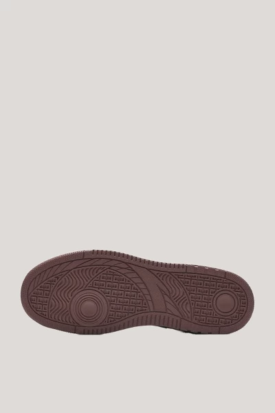 ���� ���������� ANTA