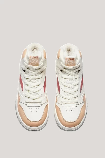 ���� ���������� ANTA