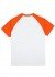    Paint Roller Orange/Grey