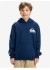������� ���� Omni Logo Hoodie Youth