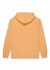 ���� QUIKSILVER SALT WATER HOODIE
