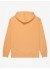 ���� QUIKSILVER SALT WATER HOODIE