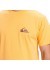 �������� QUIKSILVER EV MINI LOGO SS NGR0