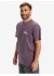 �������� QUIKSILVER EV MINI LOGO SS PQC0
