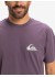 �������� QUIKSILVER EV MINI LOGO SS PQC0