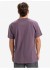�������� QUIKSILVER EV MINI LOGO SS PQC0