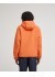 ���������� ������ WOLFE SHERPA