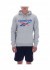 Худи TRENT 2 COL LOGO HOODY Худи TRENT 2 COL LOGO HOODY
