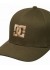 ��������� Flexfit DC Cap Star