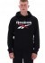 ���� TRENT 2 COL LOGO HOODY