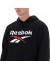 ���� TRENT 2 COL LOGO HOODY