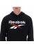 ���� TRENT 2 COL LOGO HOODY