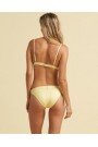   Sundipped Tropic