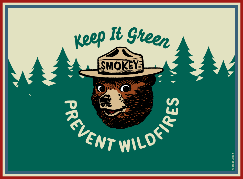 Element x Smokey Bear