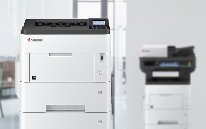 https://cdnya.proimagescdn.ru/mainrek/more/KYOCERA/ecosys.png