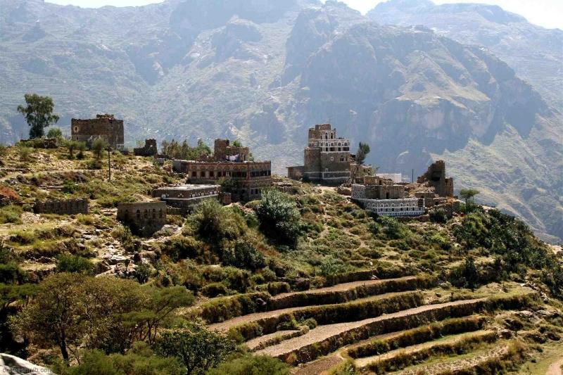 Йемен. вид на плантацию кофе